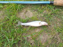 Gillbach (Weckhofen)