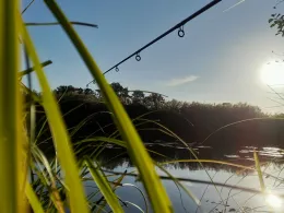 Alte Elster (Postberga)-4