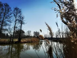 Alte Elster (Postberga)-3