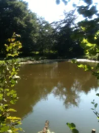 Feuerlöschteich Ostbarthausen-0