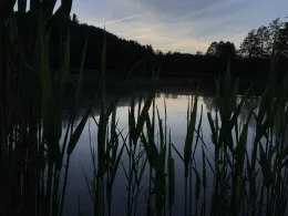 Fischteiche ASC Rimbach-0