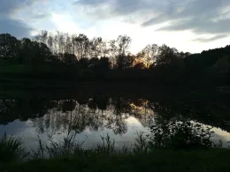 Fischteiche ASC Rimbach