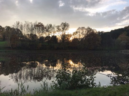 Fischteiche ASC Rimbach-3
