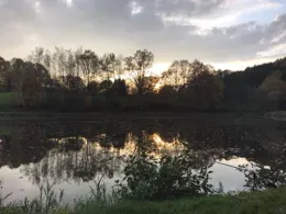 Fischteiche ASC Rimbach-3