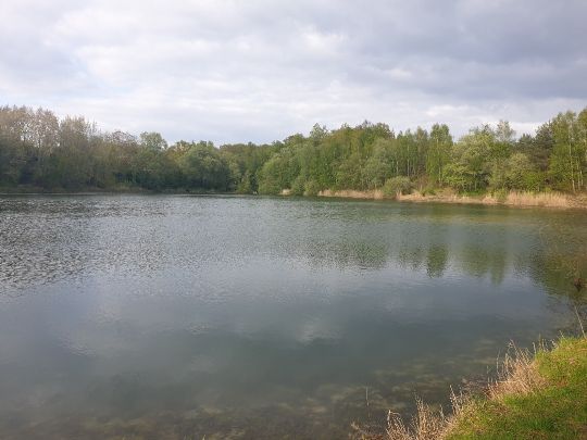 Deckmannsche Sandkuhle angeln