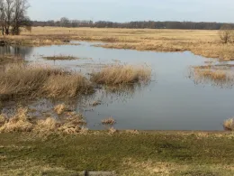 Sandekolk (Pratau)-0