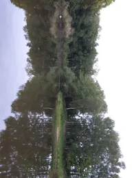 Buschteich (Wildeshausen)-2