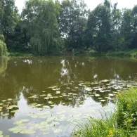 Buschteich (Wildeshausen)-4