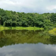 Buschteich (Wildeshausen)-3