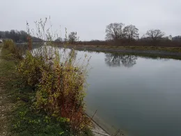 Mittlerer Isarkanal (Ismaning)-4