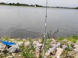 Oude Maas (Maasbracht)-4