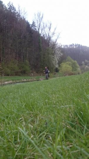 Wutach (Tiengen) angeln