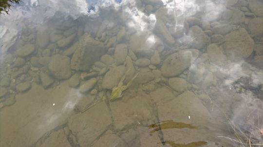Wutach (Tiengen)
