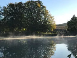 Büttendorfer Teich-4