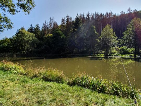 Teichanlage Laufenselden-1