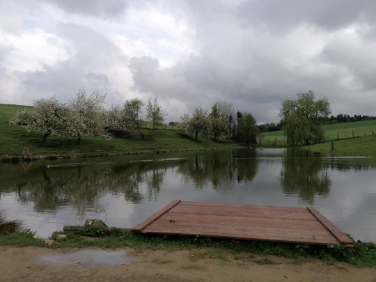 Bubinger Weiher-4