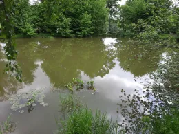 Dorfteich Römershagen-2