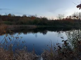 Teich Habichtsfang-2