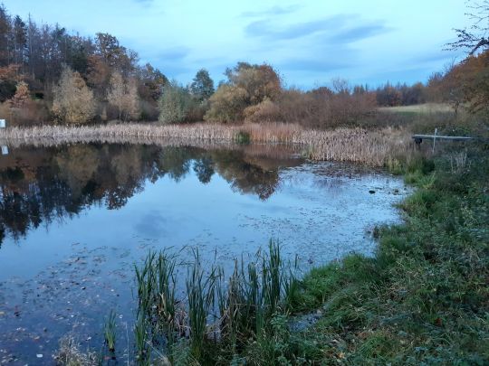 Teich Habichtsfang-1