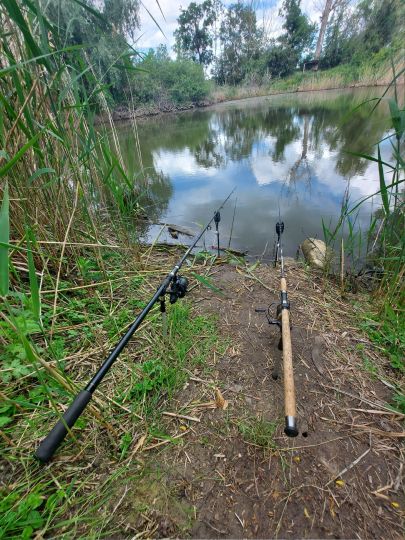 Ziegeleiteich Rabutz-1