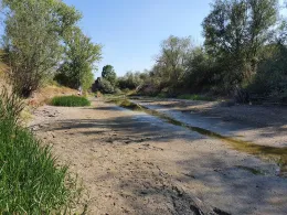 Ziegeleiteich Rabutz-2