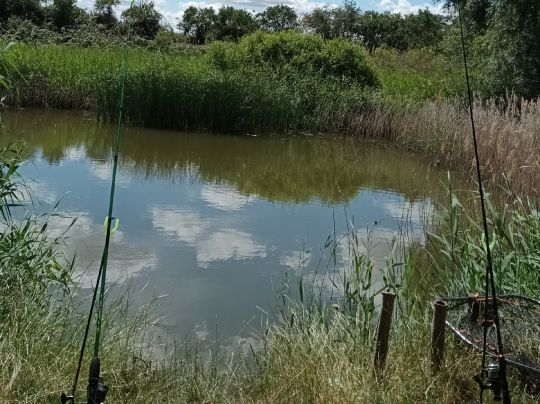 Ziegeleiteich Rabutz