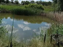 Ziegeleiteich Rabutz