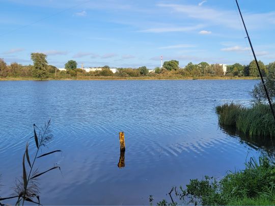 Torfloch Fuchswiesen (Schwedt)-2