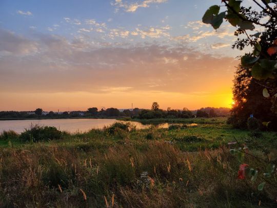 Torfloch Fuchswiesen (Schwedt)-3