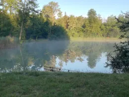 Heideweiher (Herschbach)-1