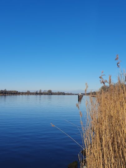 Nord-Ostsee-Kanal (Schülp)