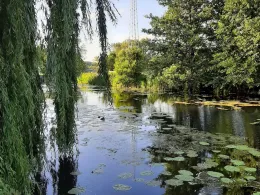 Friedrich-Wilhelm-Kanal (Brieskow)-4