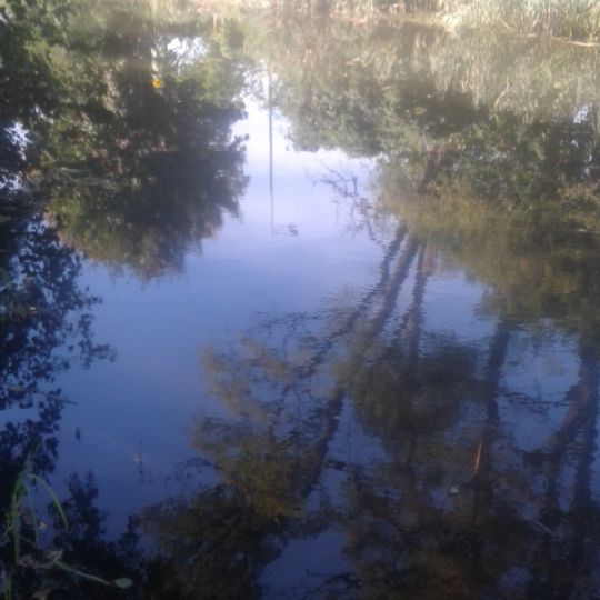 Friedrich-Wilhelm-Kanal (Brieskow) angeln