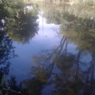 Friedrich-Wilhelm-Kanal (Brieskow)-1