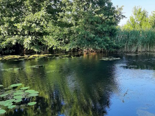 Friedrich-Wilhelm-Kanal (Brieskow)-2