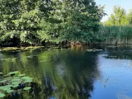 Friedrich-Wilhelm-Kanal (Brieskow)-2