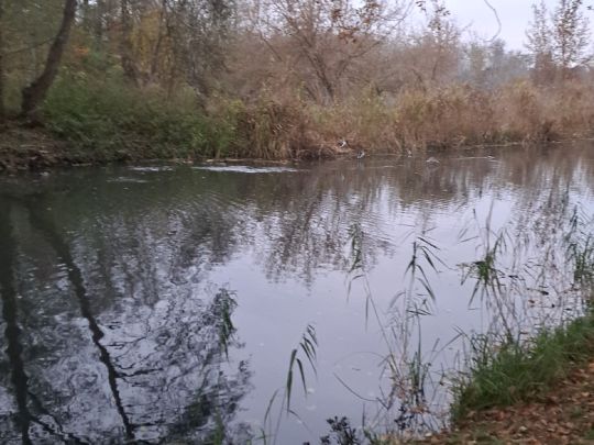 Friedrich-Wilhelm-Kanal (Brieskow)-3