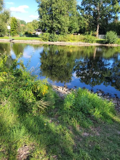 Oder-Havel-Kanal (Oranienburg)-3