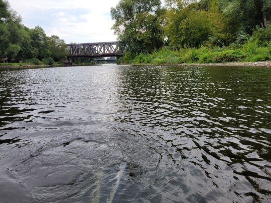Oder-Havel-Kanal (Oranienburg)-1