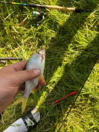 Vils (Aldersbach-Walchsing)-2