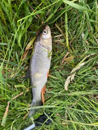 Vils (Aldersbach-Walchsing)-4