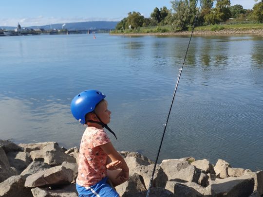 Main (Mainz-Kostheim)-1