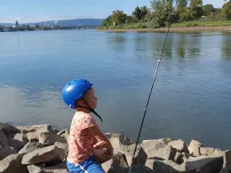 Main (Mainz-Kostheim)-1