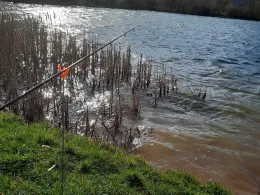 LFV See Höxter-Godelheim