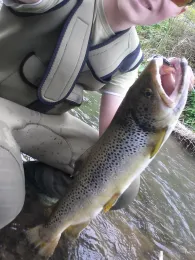 Schwarza (Goldisthal)