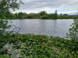 Tonstiche Beekwiesen-2