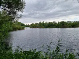 Tonstiche Beekwiesen-3