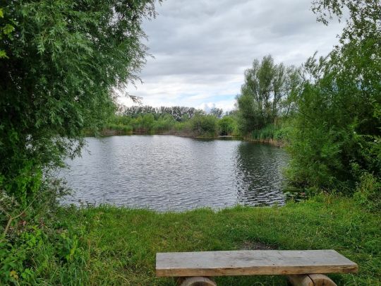 Tonstiche Beekwiesen-1