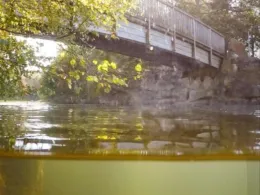 Torfmoorsee (Hörstel)