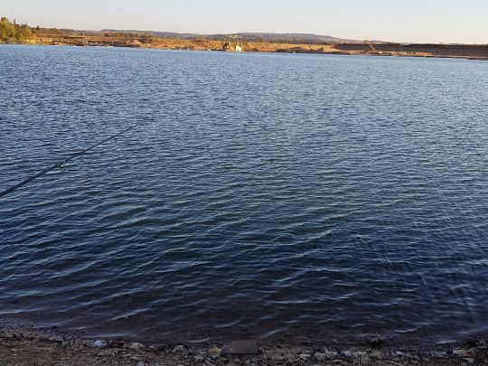 Hardt-See (Sickenhofen)-3